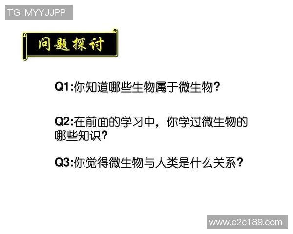 安养人参与全州宙的全面对比探讨及其在健康养生中的应用价值分析