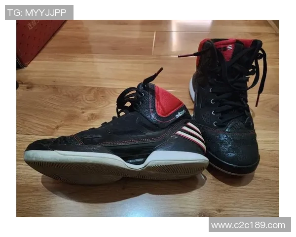 德里克罗斯职业生涯数据分析与成就回顾