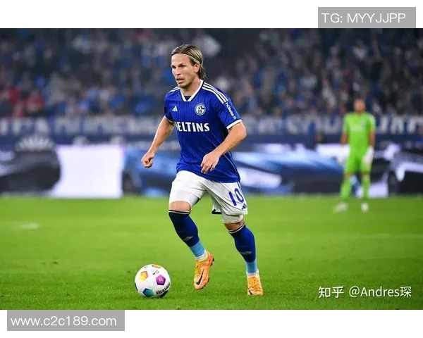 沙尔克04关键球员受伤缺席或影响球队表现