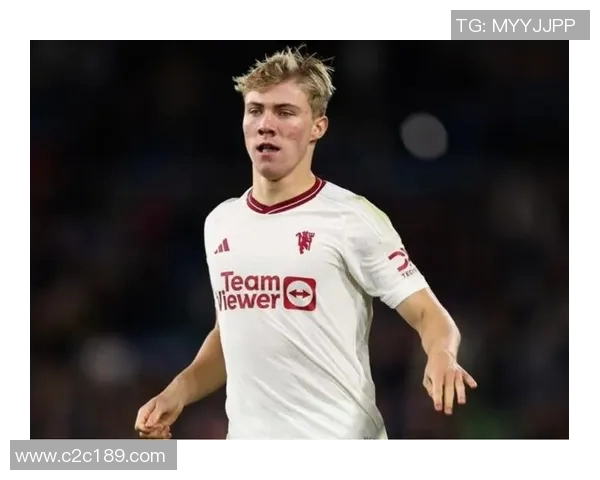 霍伊伦的传奇人生与时代变迁中的不屈精神探索