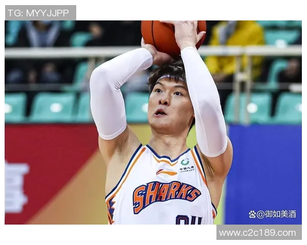 王哲林在CBA赛场的崛起与挑战分析以及未来发展潜力展望 王哲林在CBA赛场的崛起与挑战分析以及未来发展潜力展望