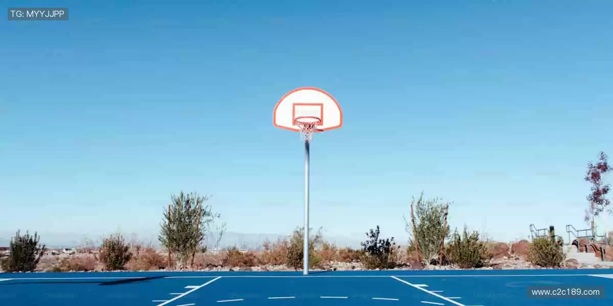 互动时刻，与你同在！💬🎉